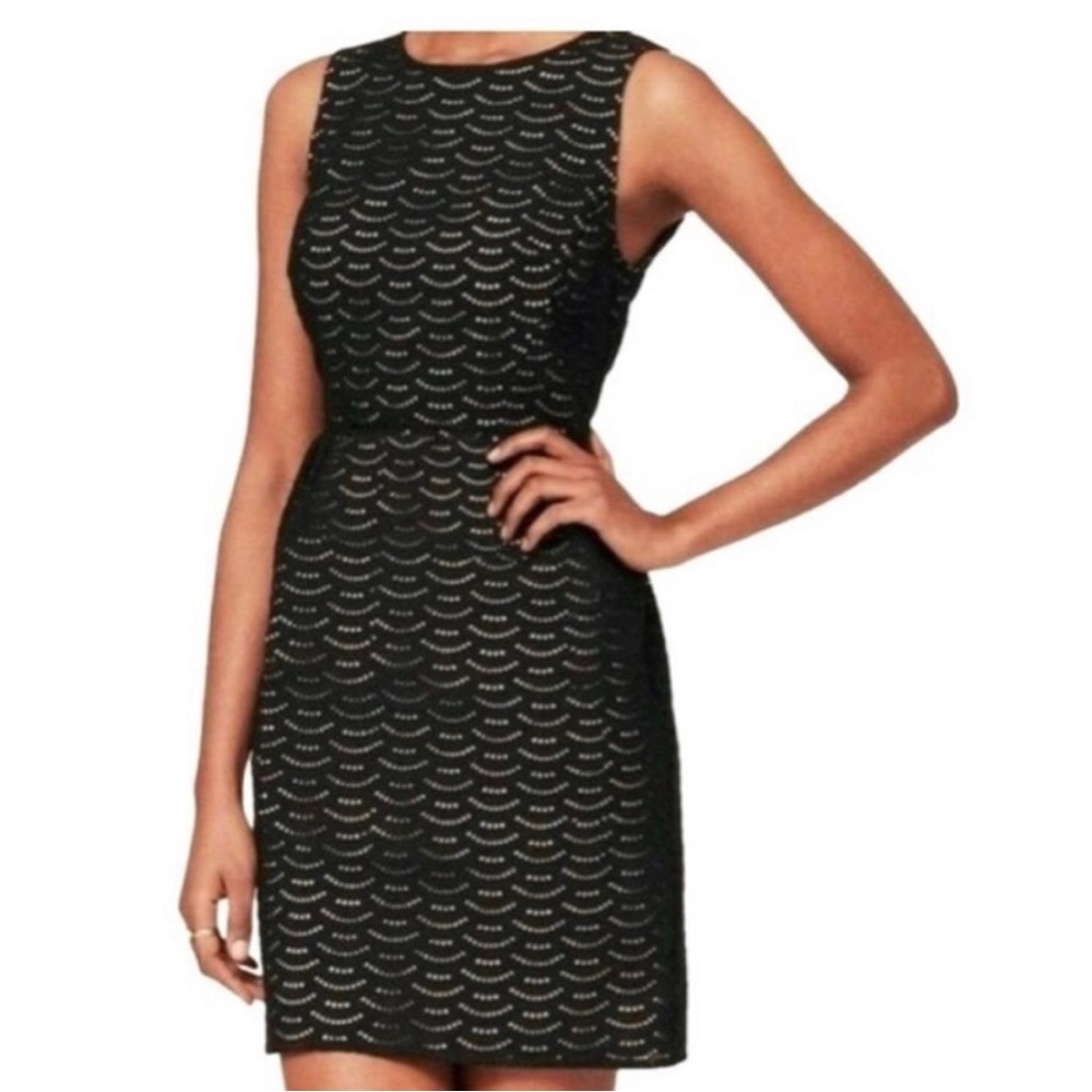 Ann Taylor LOFT Black Eyelet Dress with Tan Lining